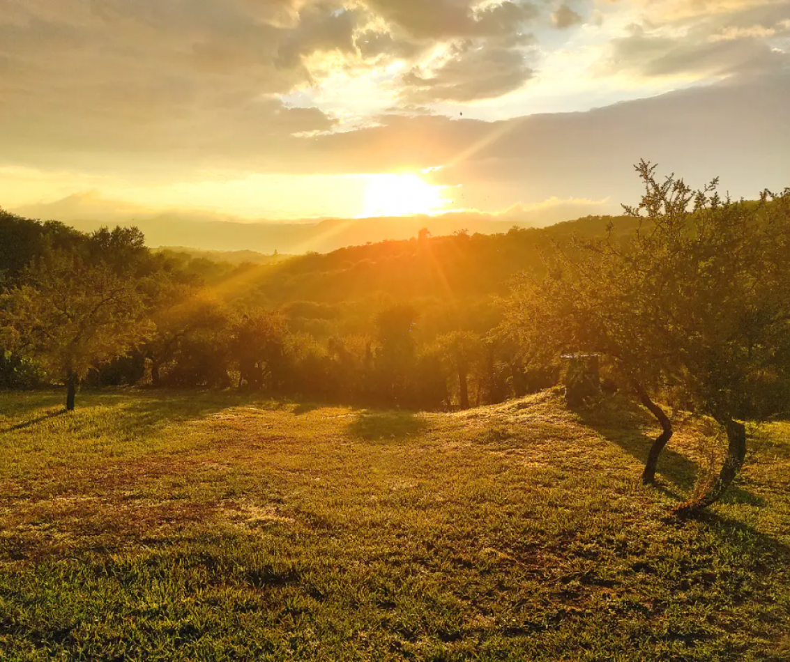 Complejo de Cabañas en Icho Cruz Ubicado Sobre La Ruta en La Montaña a m del Rio y del Centro Complejo en Pleno Auge