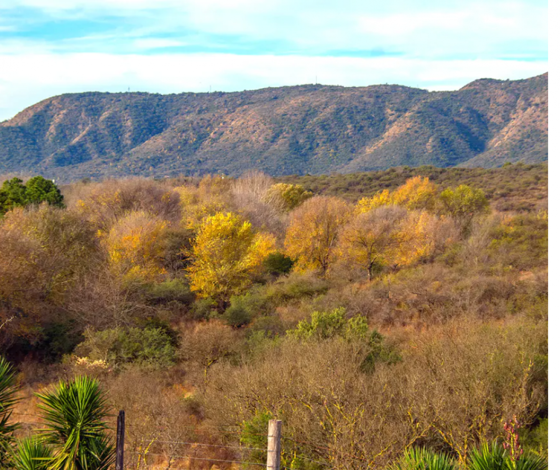 Complejo de Cabañas en Icho Cruz Ubicado Sobre La Ruta en La Montaña a m del Rio y del Centro Complejo en Pleno Auge